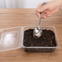 Шаг 2. Присыпьте семена слоем почвы 3–5 мм, слегка уплотните поверхность ладонью. Слишком глубокая заделка замедляет всходы и ослабляет ростки. Шаг 2. Присыпьте семена слоем почвы 3–5 мм, слегка уплотните поверхность ладонью. Слишком глубокая заделка замедляет всходы и ослабляет ростки.