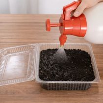 Шаг 3. Увлажните грунт из пульверизатора тёплой водой, накройте контейнер плёнкой, крышкой или стеклом и поставьте в тёплое место. Шаг 3. Увлажните грунт из пульверизатора тёплой водой, накройте контейнер плёнкой, крышкой или стеклом и поставьте в тёплое место.