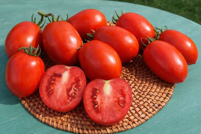 Ни забот, ни хлопот полностью оправдывает своё название. Низкий штамбовый куст не требует формировки, быстро отдаёт урожай и подходит тем, кто хочет получить ранние томаты без лишней возни. Ни забот, ни хлопот полностью оправдывает своё название. Низкий штамбовый куст не требует формировки, быстро отдаёт урожай и подходит тем, кто хочет получить ранние томаты без лишней возни.