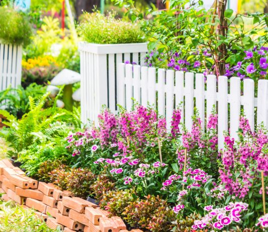 Что посадить вдоль забора — 14 самых удачных вариантов