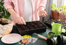 Лунный календарь садовода и огородника на февраль 2026 года Лунный календарь садовода и огородника на февраль 2026 года