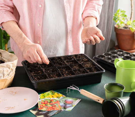 Лунный календарь садовода и огородника на февраль 2026 года