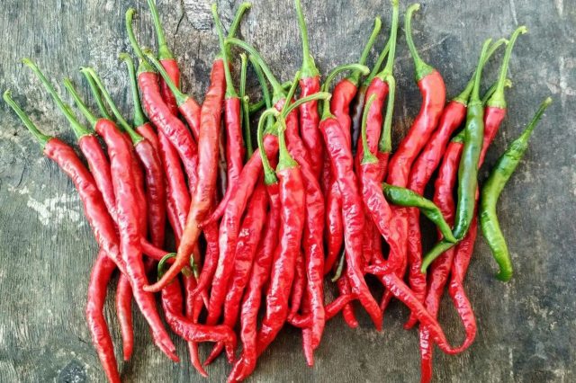 Настоящая мировая классика острого перца. Длинные тонкие плоды обладают чистым жгучим вкусом без горечи. Отлично сушится, легко перемалывается в порошок и хранится весь год без потери аромата. Настоящая мировая классика острого перца. Длинные тонкие плоды обладают чистым жгучим вкусом без горечи. Отлично сушится, легко перемалывается в порошок и хранится весь год без потери аромата.