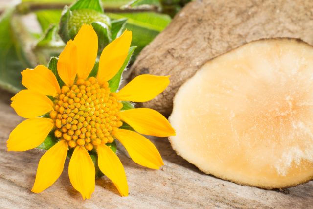 Якон — почему я продолжу его выращивать?