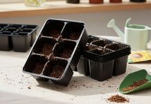 Рассада в старых ёмкостях – как сэкономить и не убить всходы?