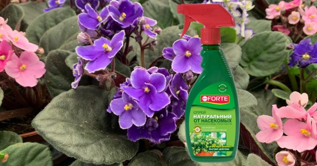 Натуральный спрей от летающих и ползающих насекомых Bona Forte Натуральный спрей от летающих и ползающих насекомых Bona Forte