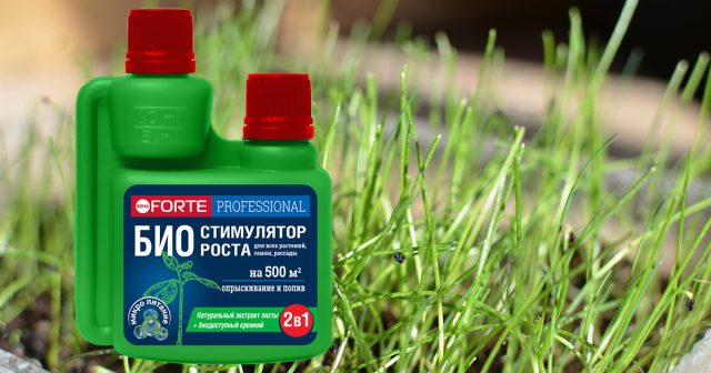 Био-стимулятор роста Bona Forte.