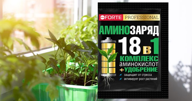 Аминозаряд 18 в 1 Bona Forte