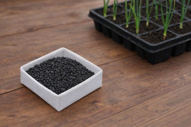 Лук из семян требует времени. Чтобы за один сезон получить крупную, хорошо вызревшую луковицу, рассаде нужна фора. Февральский посев помогает луку быстро укорениться и полноценно развиться в грунте.