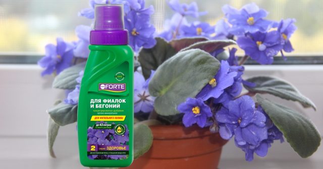 Удобрение для фиалок и бегоний серия ЗДОРОВЬЕ Bona Forte. Удобрение для фиалок и бегоний серия ЗДОРОВЬЕ Bona Forte.