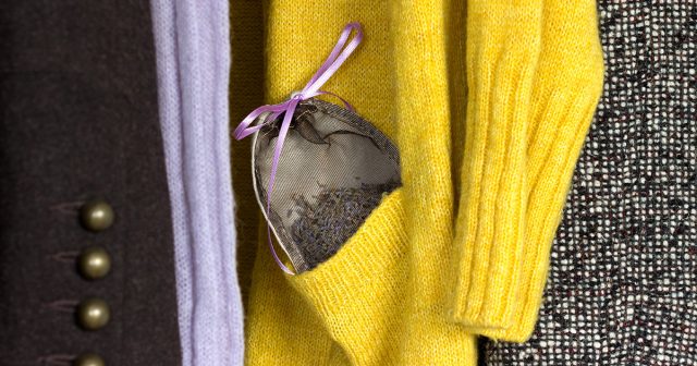 Народные средства от моли — это растительные репелленты: корки цитрусовых, лаванда, розмарин, лавровый лист, полынь. Они отпугивают вредителей, но действуют недолго и требуют регулярной замены. Народные средства от моли — это растительные репелленты: корки цитрусовых, лаванда, розмарин, лавровый лист, полынь. Они отпугивают вредителей, но действуют недолго и требуют регулярной замены.