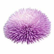 «Лавандер» (Callistephus chinensis 'Gala Lavender')