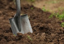 Готовим грядки к сезону: 6 шагов к здоровой почве и высокому урожаю Готовим грядки к сезону: 6 шагов к здоровой почве и высокому урожаю