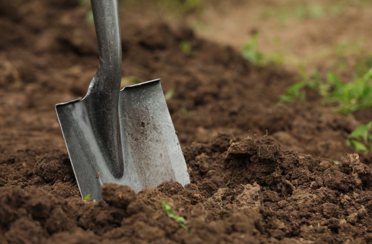 Готовим грядки к сезону: 6 шагов к здоровой почве и высокому урожаю