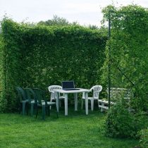 Идеальная зона уединения создается самой природой: густые живые «ширмы» и вьющиеся растения скрывают от посторонних глаз, позволяя спрятаться от суеты и почувствовать себя в защищенном, уютном пространстве.