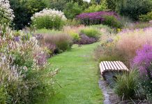 Что такое современный сад? Гид по ландшафтным трендам 2026 года