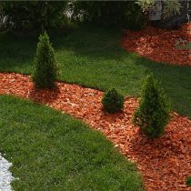 Органическая мульча становится основой «умного» ухода. Она не только дарит цветникам опрятный вид, но и бережет влагу, обогащает почву при разложении и избавляет от прополки, воплощая главный принцип малого ухода.