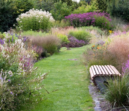 Что такое современный сад? Гид по ландшафтным трендам 2026 года