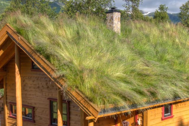 Лёгкий травяной покров с устойчивыми злаками превращает крышу в живое пространство. Такие посадки декоративны большую часть года, визуально смягчают архитектуру и позволяют озеленить даже самый маленький участок. Лёгкий травяной покров с устойчивыми злаками превращает крышу в живое пространство. Такие посадки декоративны большую часть года, визуально смягчают архитектуру и позволяют озеленить даже самый маленький участок.