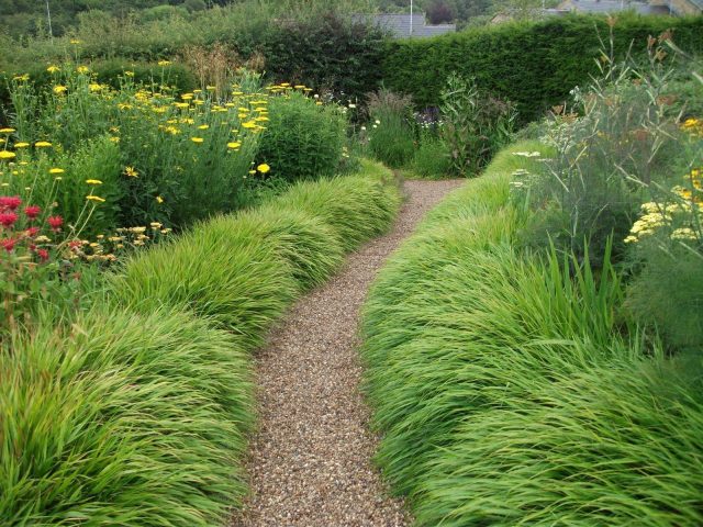 Узкая лента из злаков подчёркивает границы дорожек и площадок, смягчая переход от твёрдых поверхностей к посадкам. Бордюр должен быть аккуратным, стабильным и не расползаться, создавая ощущение порядка и завершённости. Узкая лента из злаков подчёркивает границы дорожек и площадок, смягчая переход от твёрдых поверхностей к посадкам. Бордюр должен быть аккуратным, стабильным и не расползаться, создавая ощущение порядка и завершённости.