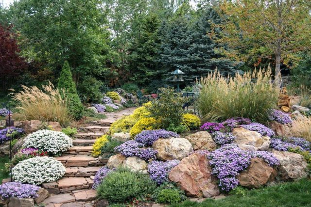 Низкорослые злаки и почвопокровные растения формируют плотный «ковёр», имитирующий горной луг. Каменная отсыпка и естественные очертания подчёркивают природность и делают композицию аккуратной и устойчивой.