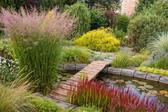 Злаки и прибрежные растения формируют плавный переход от воды к суше. Разные ярусы посадок создают глубину, подчёркивают зеркало воды и делают водоём частью единой ландшафтной композиции.