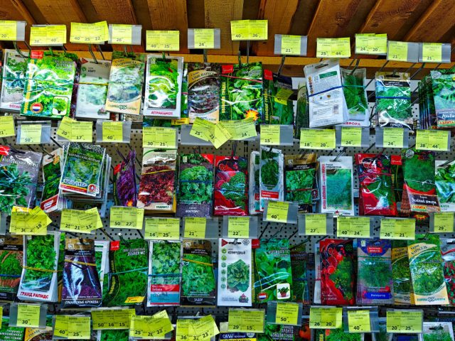 Картинка — это маркетинг, текст на обороте — реальность. Всегда сверяйте аппетитное фото с описанием сорта: вес и цвет плода в тексте могут сильно отличаться от того, что нарисовал дизайнер.