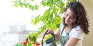 Как оборудовать мини-огород на балконе и получать урожай круглый год?