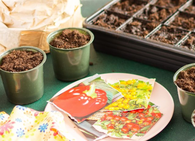 Срок на пакетике — это гарантия, а не точка смерти семян. Одни культуры живут 5–10 лет, другие теряют силу за 1–2 сезона. Решает не возраст, а условия: прохлада, сухость, темнота и герметичность.