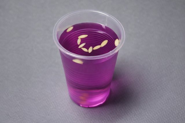 Старые семена часто проигрывают не возрасту, а инфекциям: грибки и бактерии добивают ослабленный зародыш. Перекись, хлоргексидин,марганцовка или биофунгициды снижают риск гнили. Дражированные семена замачивать нельзя.