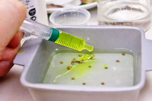 Замачивание запускает «пробуждение», но требует режима: тёплая вода, правильные сроки и один выбранный метод. Стимуляторы помогают живому зародышу стартовать, а переусердствование даёт обратный эффект или сжигает семена.