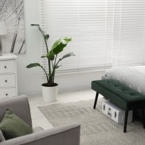 Стрелиция Николая Стрелиция Николая