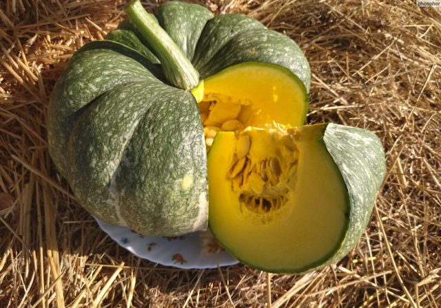 Зимняя сладкая сочетает раннее созревание и высокую сладость. Серая прочная кожура скрывает плотную оранжевую мякоть. Прекрасно подходит для детских пюре и запекания, сохраняя свои вкусовые качества в погребе вплоть до апреля. Зимняя сладкая сочетает раннее созревание и высокую сладость. Серая прочная кожура скрывает плотную оранжевую мякоть. Прекрасно подходит для детских пюре и запекания, сохраняя свои вкусовые качества в погребе вплоть до апреля.