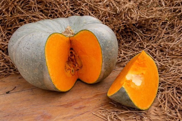 Волжская серая — один из самых надежных сортов. Плоды весом около 10 кг отличаются великолепной лежкостью и могут лежать до мая. Со временем вкус становится только богаче, а мякоть — заметно слаще и ароматнее, чем при уборке. Волжская серая — один из самых надежных сортов. Плоды весом около 10 кг отличаются великолепной лежкостью и могут лежать до мая. Со временем вкус становится только богаче, а мякоть — заметно слаще и ароматнее, чем при уборке.