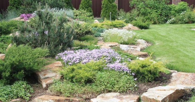 Озеленение выстраивают послойно: деревья — верхний ярус, кустарники — средний, цветы — нижний. Сочетайте высоту и сроки цветения, учитывайте свет и влажность участка — так сад будет декоративным весь сезон.