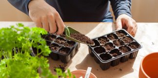 Лунный календарь садовода и огородника на март 2026 года Лунный календарь садовода и огородника на март 2026 года