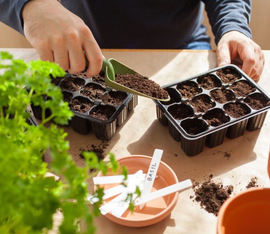 Лунный календарь садовода и огородника на март 2026 года