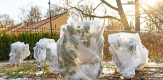 Осторожно, оттепель! 5 срочных дел в саду, когда снег начал таять