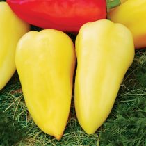 Перец сладкий Белозерка