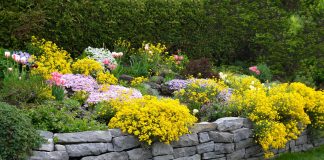 Как красиво зонировать участок — подпорные стенки в дизайне сада