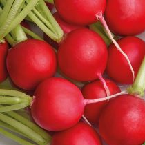 Редис Заря