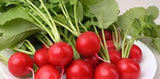 Устойчивые сорта и гибриды овощей — экологический урожай - Агрофирма «Поиск» Устойчивые сорта и гибриды овощей — экологический урожай