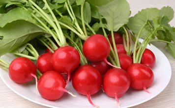 Устойчивые сорта и гибриды овощей — экологический урожай