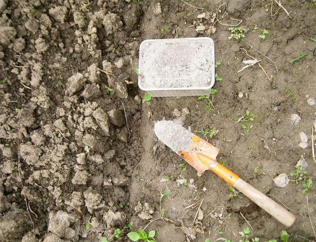 Для восстановления баланса почвы измерьте pH и внесите торф для закисления или золу и доломитовую муку для снижения кислотности до оптимального уровня Для восстановления баланса почвы измерьте pH и внесите торф для закисления или золу и доломитовую муку для снижения кислотности до оптимального уровня