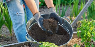 Вы тоже в это верите? Главные мифы об органических удобрениях Вы тоже в это верите? Главные мифы об органических удобрениях