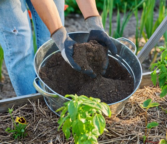 Вы тоже в это верите? Главные мифы об органических удобрениях - Сад и огород Вы тоже в это верите? Главные мифы об органических удобрениях
