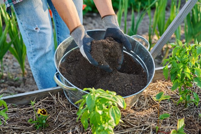Вы тоже в это верите? Главные мифы об органических удобрениях