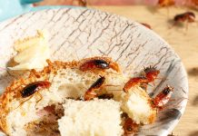 Как эффективно потравить тараканов в квартире?