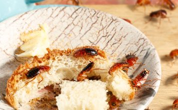 Как эффективно потравить тараканов в квартире?