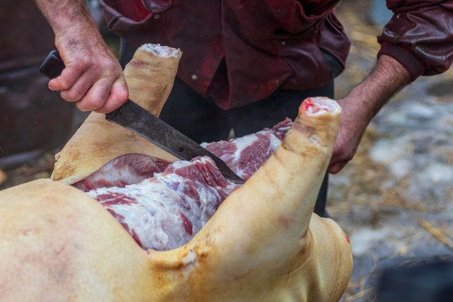 Работа с тушей свиньи — это тяжёлый физический процесс с кровью, кипятком и большим объёмом отходов. Без опыта и помощников справиться сложно и морально, и технически.